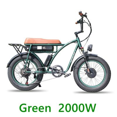 48V 23Ah Lithiumbatterie Elektrofahrrad mit mechanischer Scheibenbremse und leistungsstarkem Motor