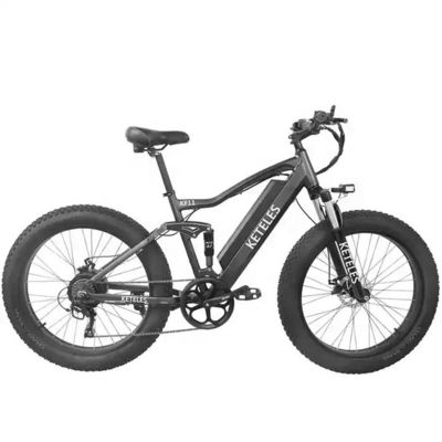 48V 250W Motor Elektro Mountainbike mit 10AH Lithium-Batterie und integrierter Batterie