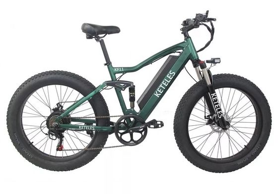 48V 250W Motor Elektro Mountainbike mit 10AH Lithium-Batterie und integrierter Batterie