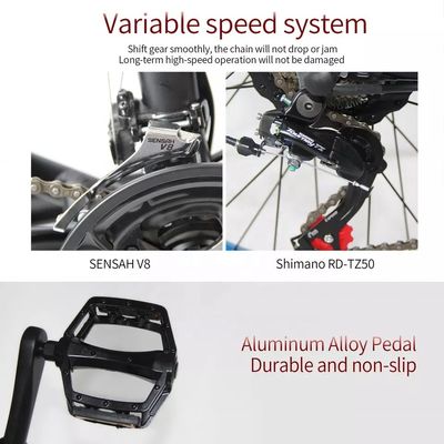 48V 250W Motor Elektro Mountainbike mit 10AH Lithium-Batterie und integrierter Batterie