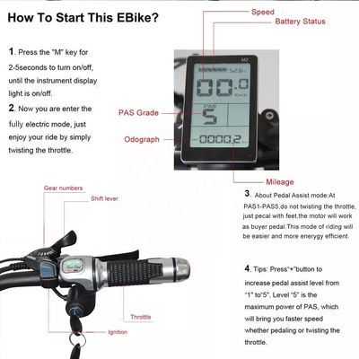 48V 250W Motor Elektro Mountainbike mit 10AH Lithium-Batterie und integrierter Batterie