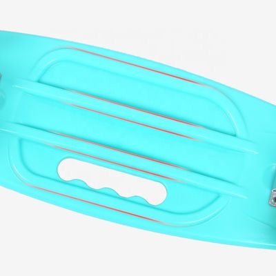Flat-Platte Handheld Small Fish Board gedruckt Skateboard Vierrad-Flash Mobilität Scooter für Jungen und Mädchen