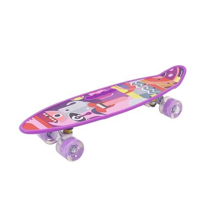 Flat-Platte Handheld Small Fish Board gedruckt Skateboard Vierrad-Flash Mobilität Scooter für Jungen und Mädchen