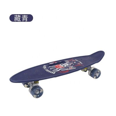 Flat-Platte Handheld Small Fish Board gedruckt Skateboard Vierrad-Flash Mobilität Scooter für Jungen und Mädchen