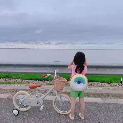 Alloy Rim INS Style 16 Zoll Retro Kinderrad Einzelgeschwindigkeit für 4-8 Jahre alte Kinder