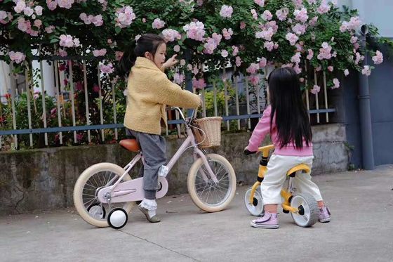 Alloy Rim INS Style 16 Zoll Retro Kinderrad Einzelgeschwindigkeit für 4-8 Jahre alte Kinder