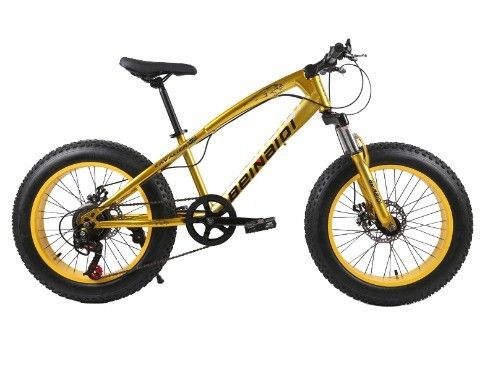 20 Zoll Kinder-Strand-Schneefahrrad 4.0 Fettreifen Bergrad mit 7/21/24/27 Geschwindigkeiten